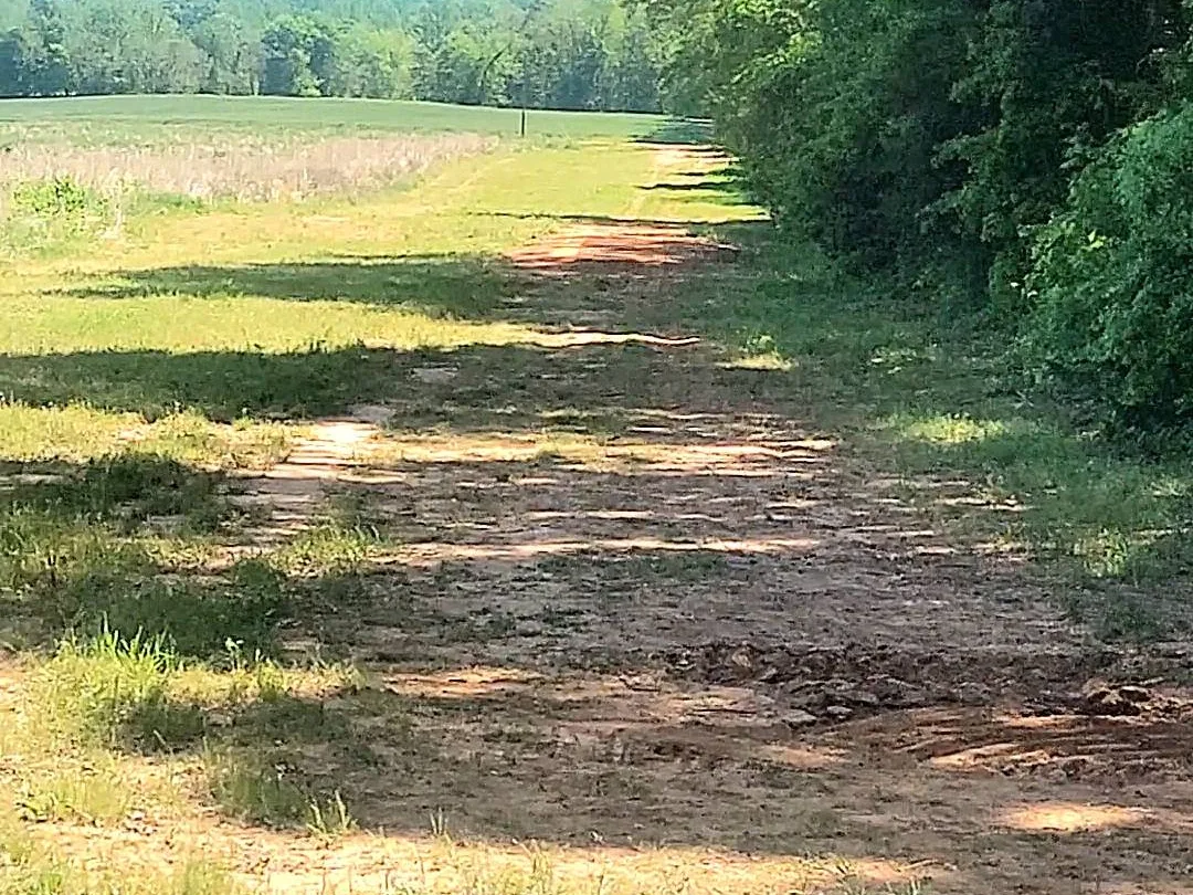 Before: the field edge where the driveway would go